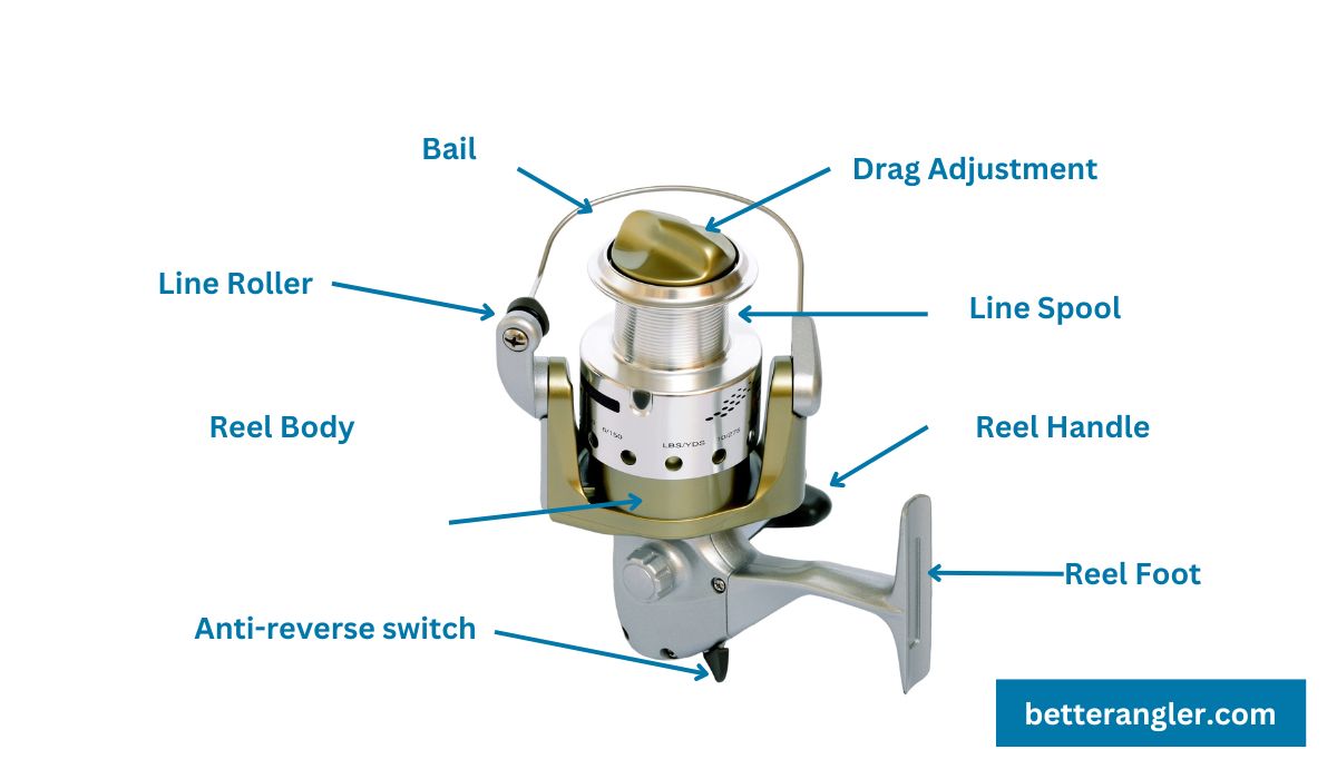 Spinning Reel Parts Diagram